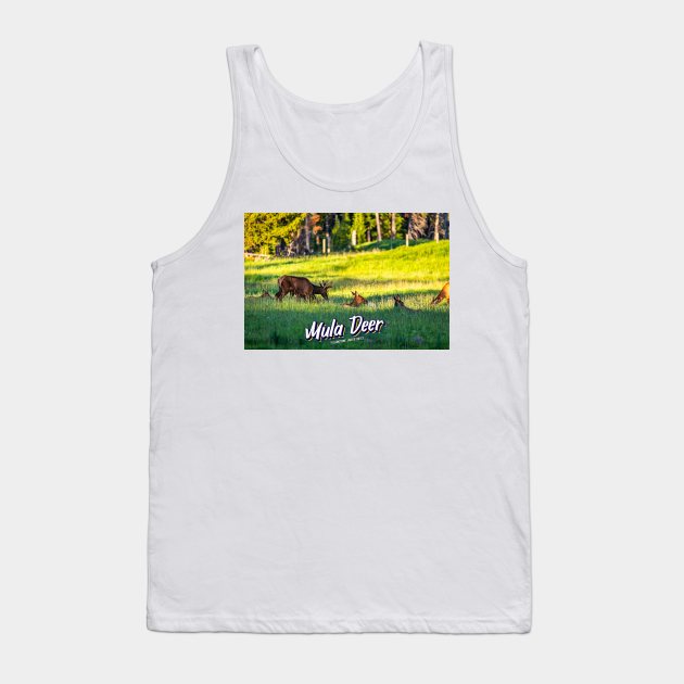 Mule Deer at Yellowstone Tank Top by Gestalt Imagery